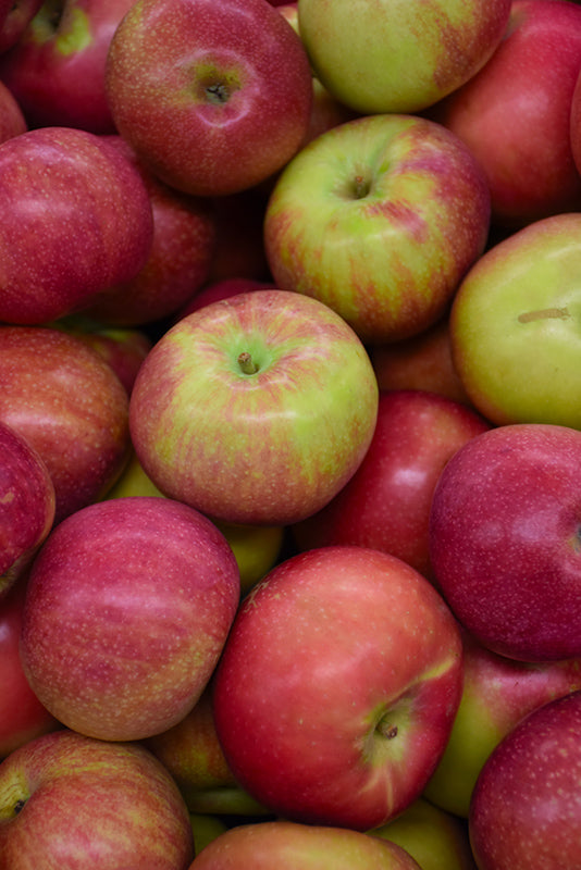 Apples, Macintosh